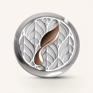 Car Vent Diffuser 時尚汽車擴香器